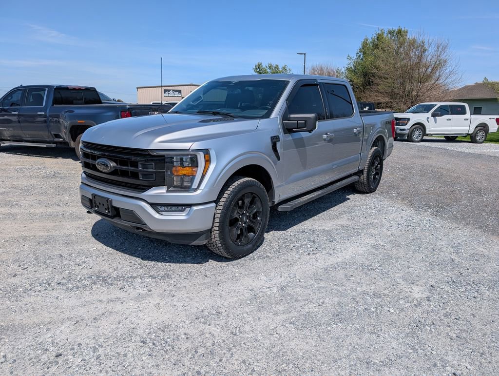 Used 2023 Ford F150 XLT w/ Equipment Group 302A High image 2