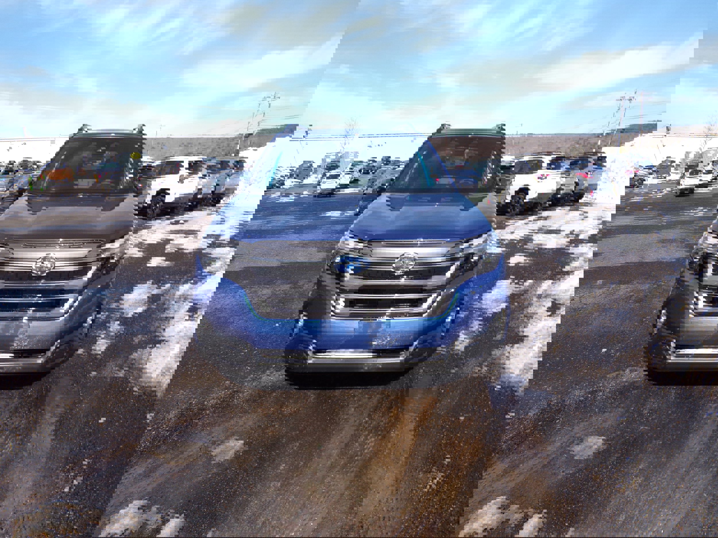 Certified 2026 Subaru Forester Limited image 2