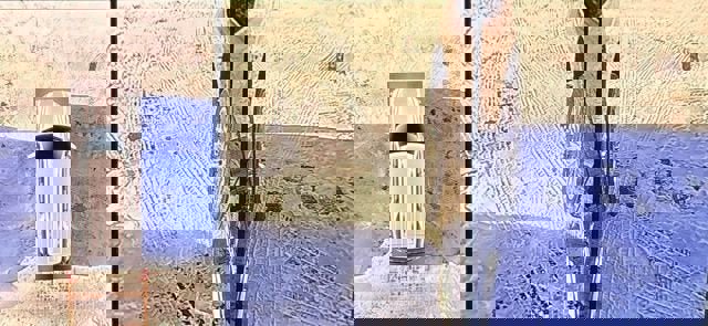 New 2026 GMC Yukon Denali w/ Denali Reserve Package image 32