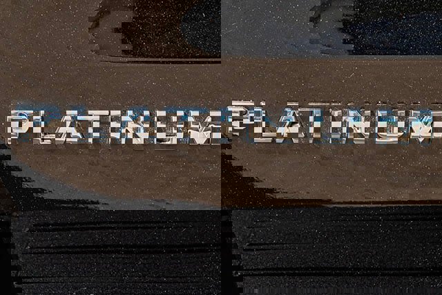 Used 2024 Ford Expedition Platinum image 20