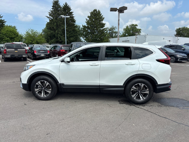 Used 2021 Honda CR-V Special Edition image 3