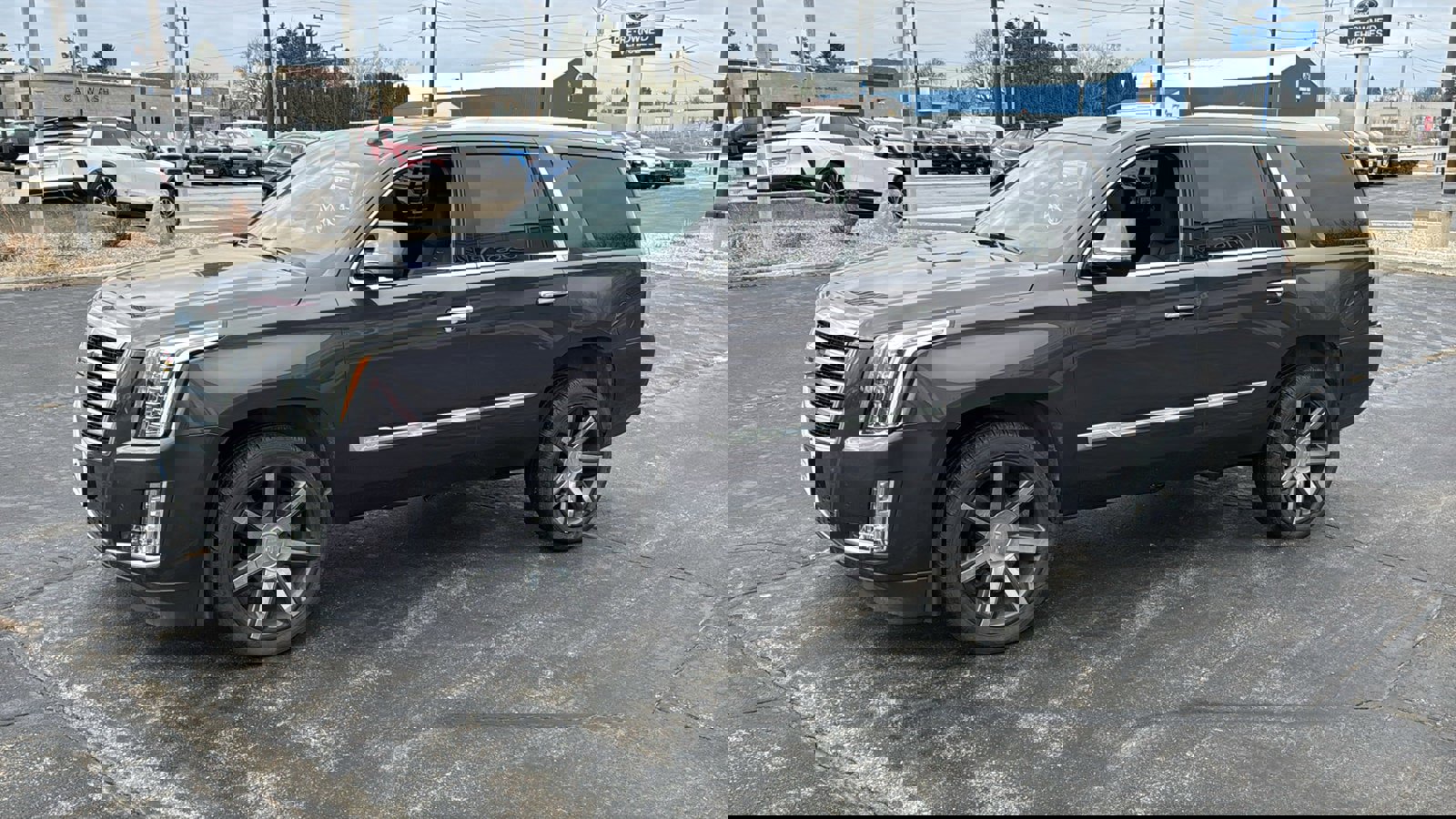 Used 2015 Cadillac Escalade Premium image 5