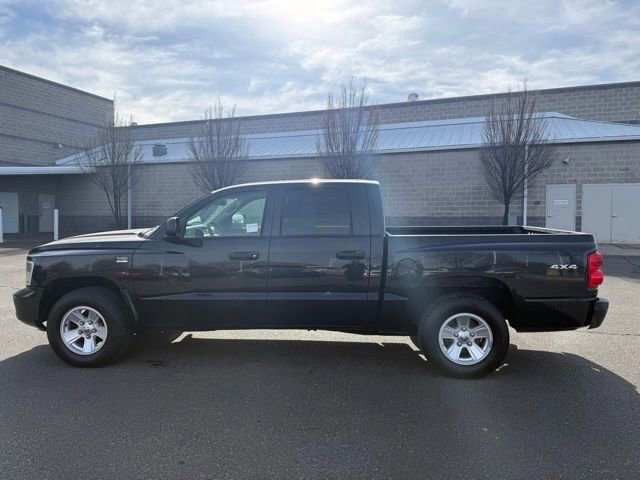 Used 2009 Dodge Dakota Big Horn w/ Extra Security Group image 5