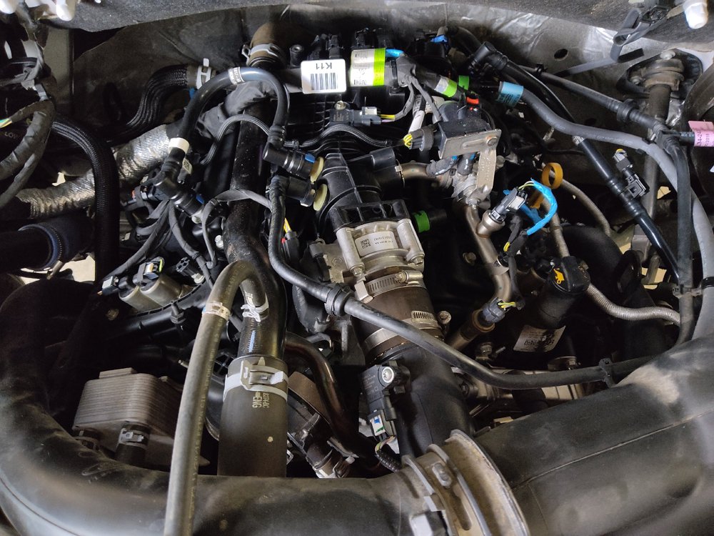Used 2019 Ford F150 XLT w/ Equipment Group 302A Luxury RWD image 30