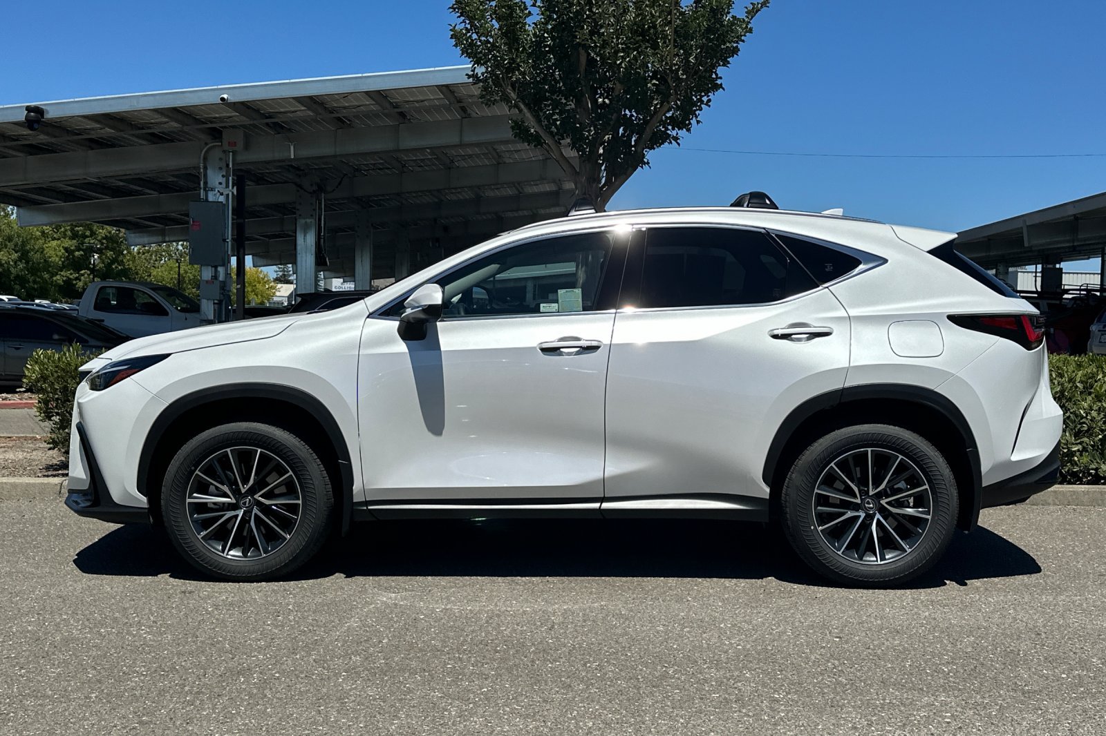 Certified 2025 Lexus NX 350h AWD w/ Premium Package image 7