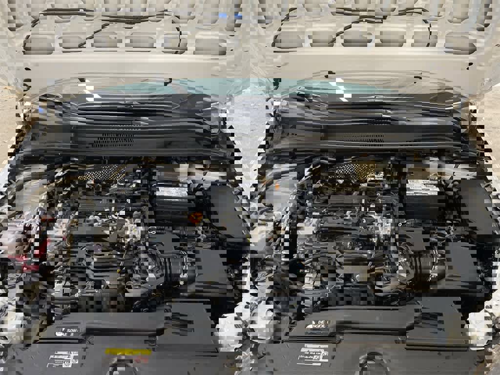 Used 2024 Toyota Corolla LE image 13