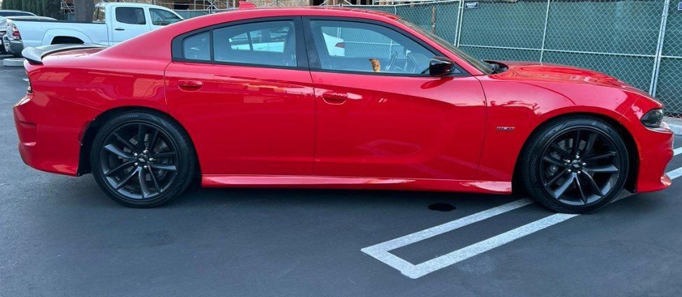 Used 2019 Dodge Charger R/T w/ Plus Group image 2