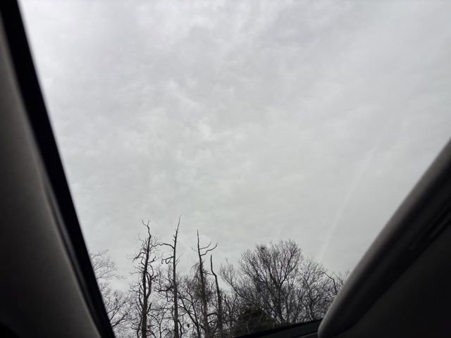 Used 2023 Hyundai Palisade Limited w/ Cargo Package image 15