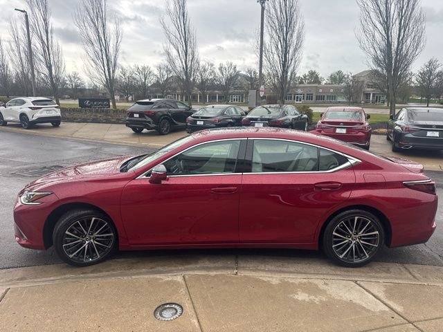 Used 2025 Lexus ES 350 350 w/ Premium Package image 6