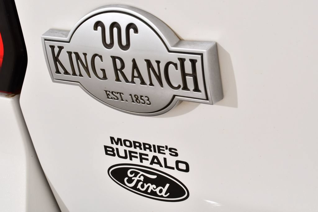 Used 2022 Ford Expedition King Ranch AWD/4WD image 22