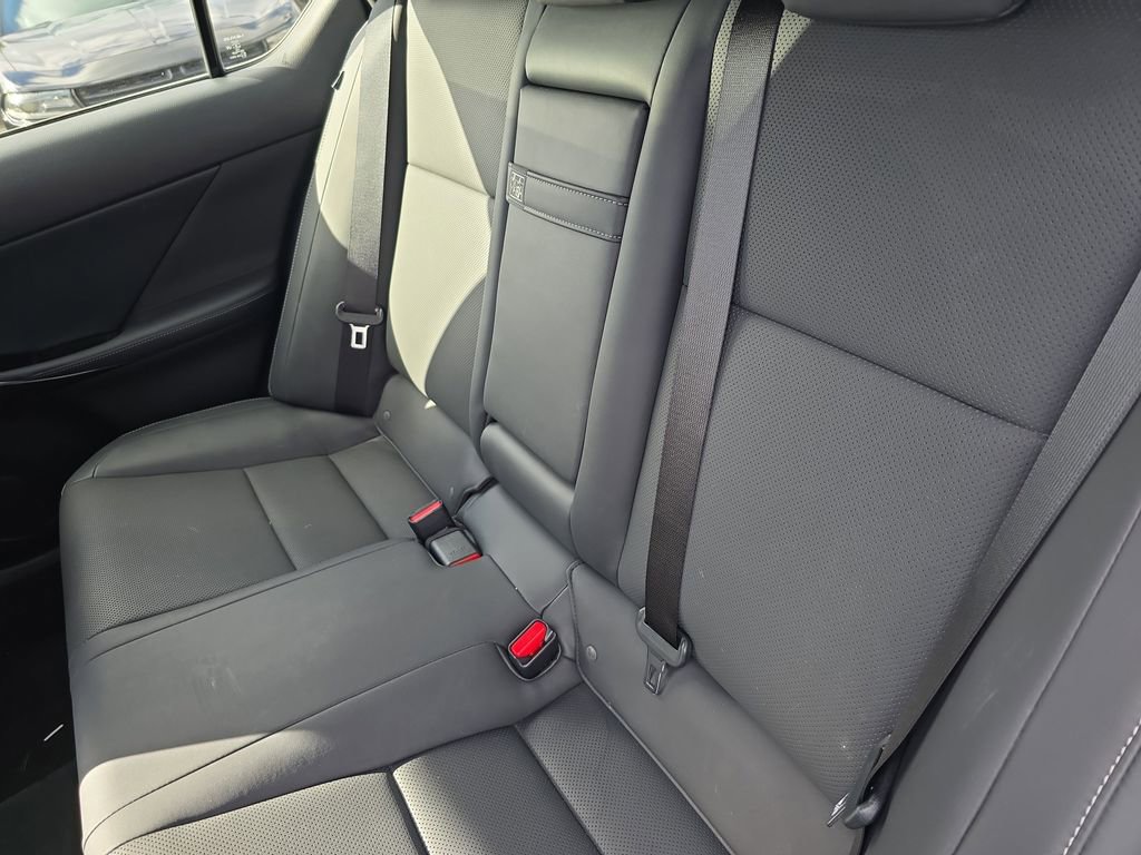 Used 2023 Lexus IS 300 w/ Comfort Package image 11