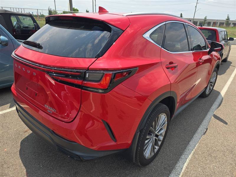 Used 2022 Lexus NX 350h AWD w/ Accessory Package 2 image 8