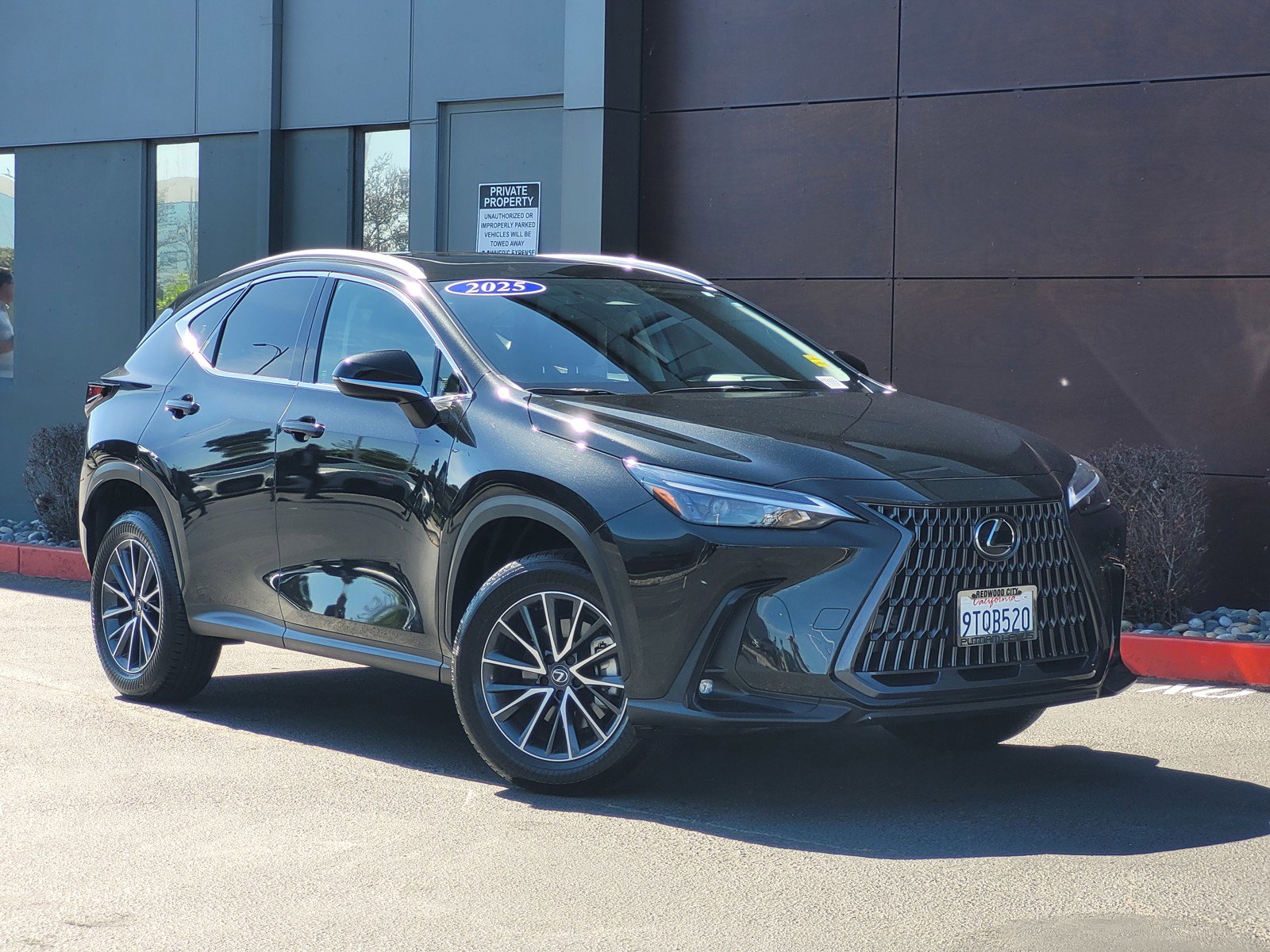Certified 2025 Lexus NX 350h AWD w/ Cold Area Package image 1