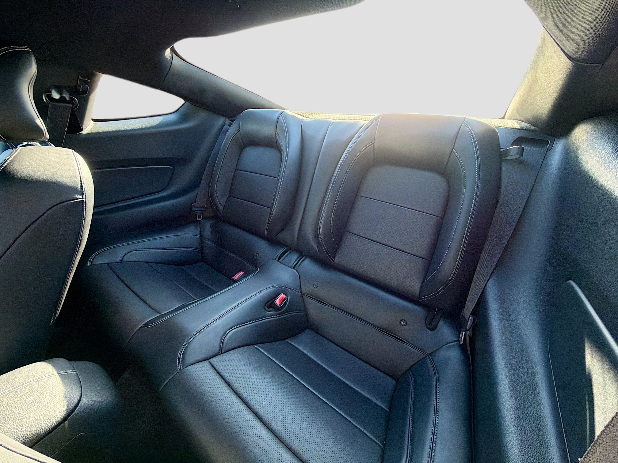 Used 2016 Ford Mustang Premium w/ Equipment Group 201A image 19