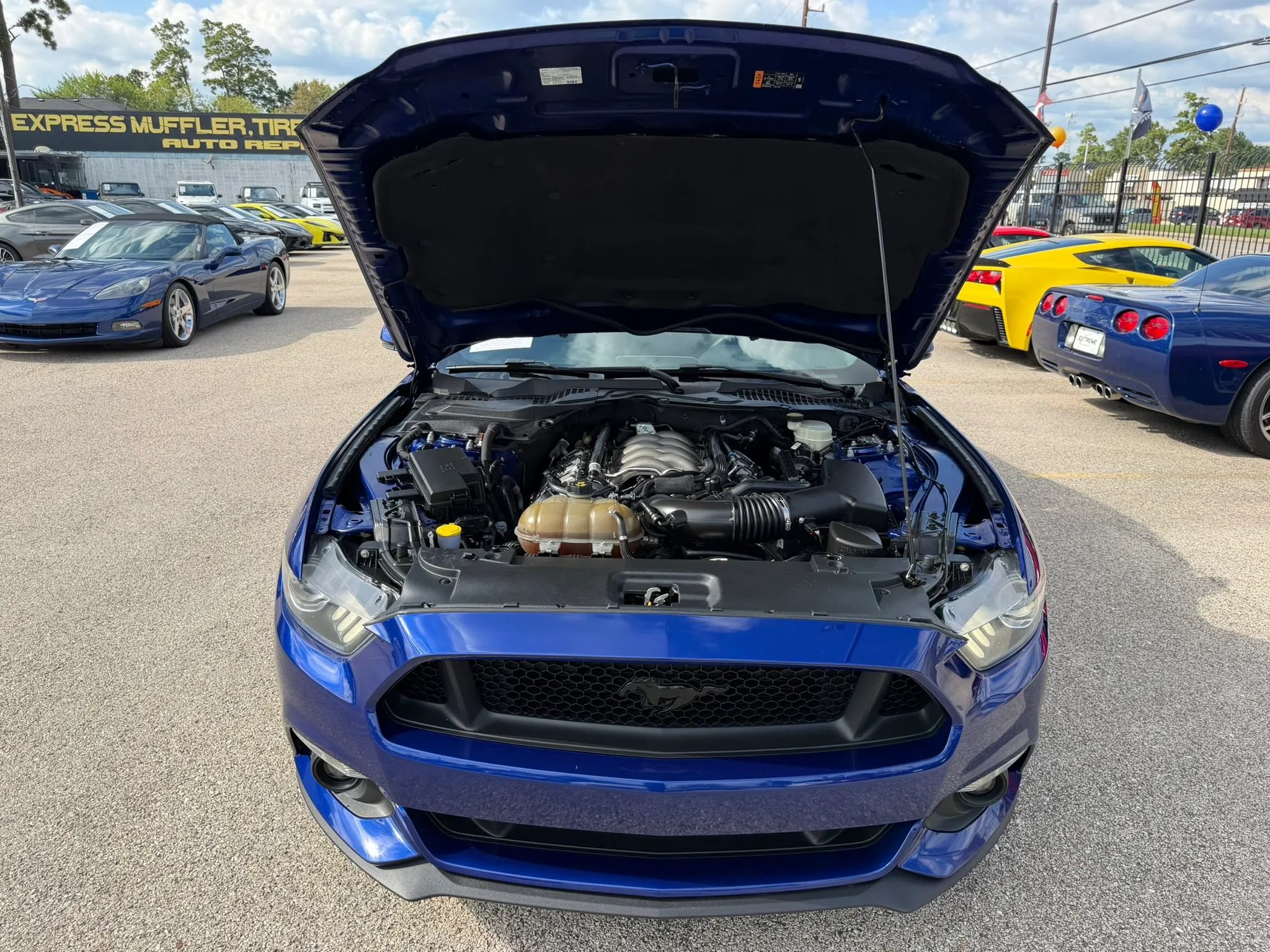 Used 2016 Ford Mustang GT Premium w/ Equipment Group 401A RWD image 34