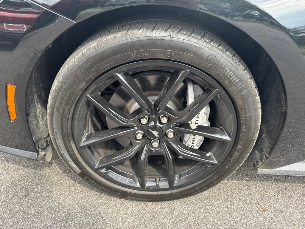 Used 2025 Ford Mustang GT RWD image 14