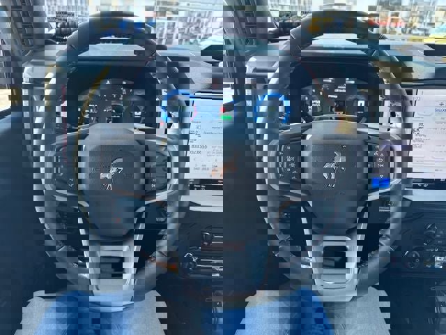 New 2025 Ford Bronco Heritage Edition image 14