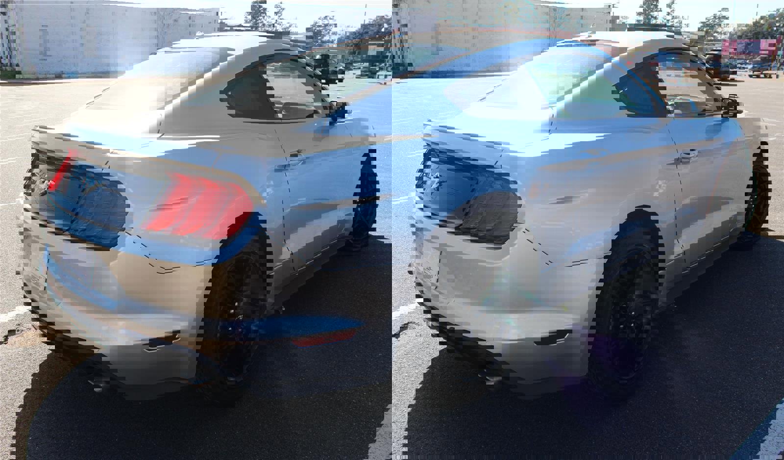 Used 2019 Ford Mustang Premium image 15