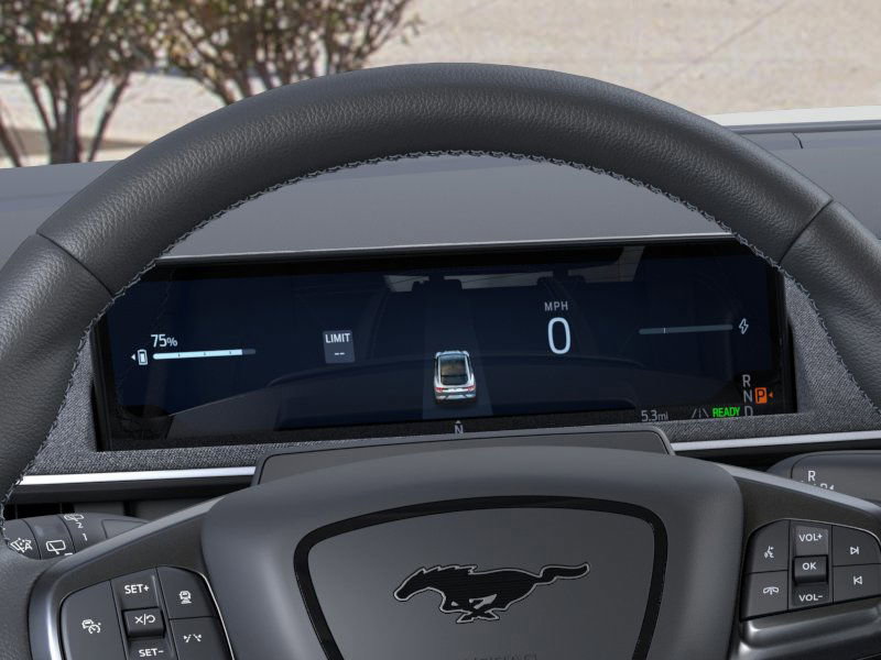 New 2025 Ford Mustang Mach-E GT w/ Interior Protection Package image 13