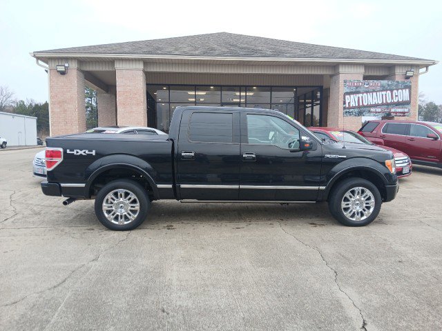Used 2010 Ford F150 Platinum image 2