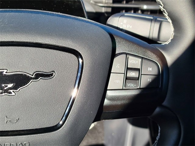 New 2025 Ford Mustang Mach-E GT image 26