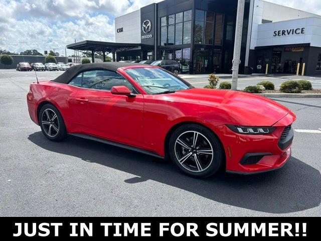 Used 2024 Ford Mustang Premium RWD image 1