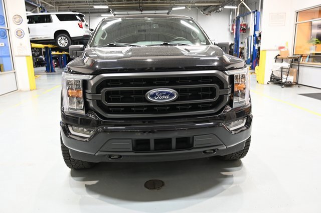 Used 2023 Ford F150 XLT w/ Equipment Group 302A High image 4