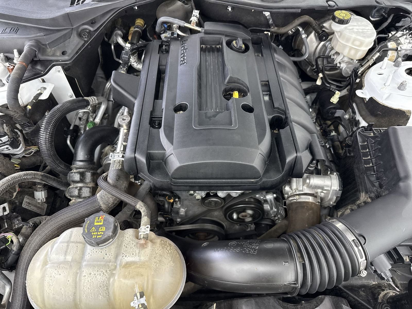 Used 2018 Ford Mustang EcoBoost image 40