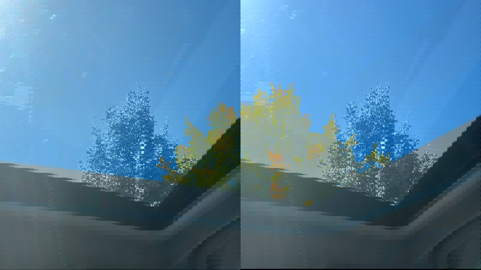 Certified 2021 Subaru Forester Sport image 24