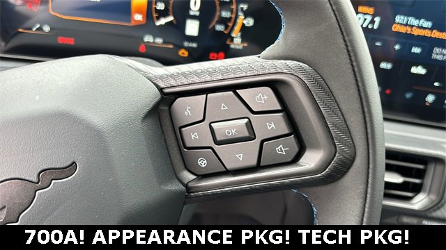 New 2025 Ford Mustang Dark Horse image 13