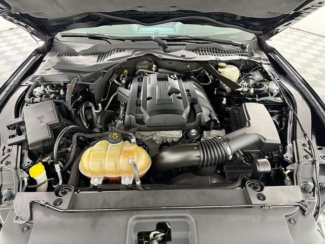 Used 2015 Ford Mustang Premium w/ Enhanced Security Package RWD image 27
