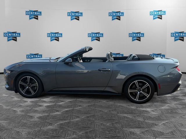 Used 2024 Ford Mustang Premium RWD image 2