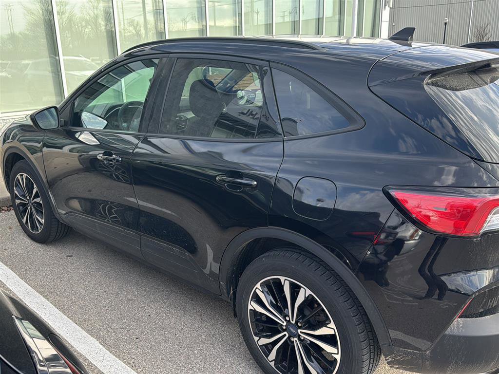 Used 2022 Ford Escape SE w/ SE Sport Appearance Package image 4