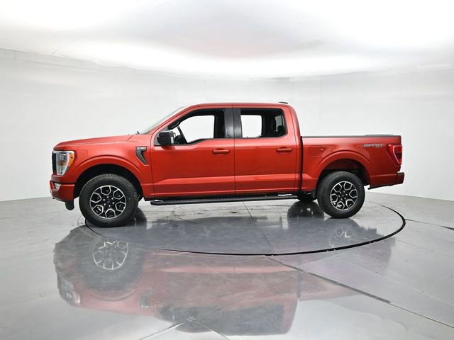 Used 2023 Ford F150 XLT w/ Equipment Group 302A High AWD/4WD image 6