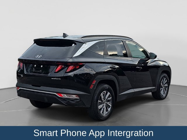 Used 2024 Hyundai Tucson Blue AWD/4WD image 9
