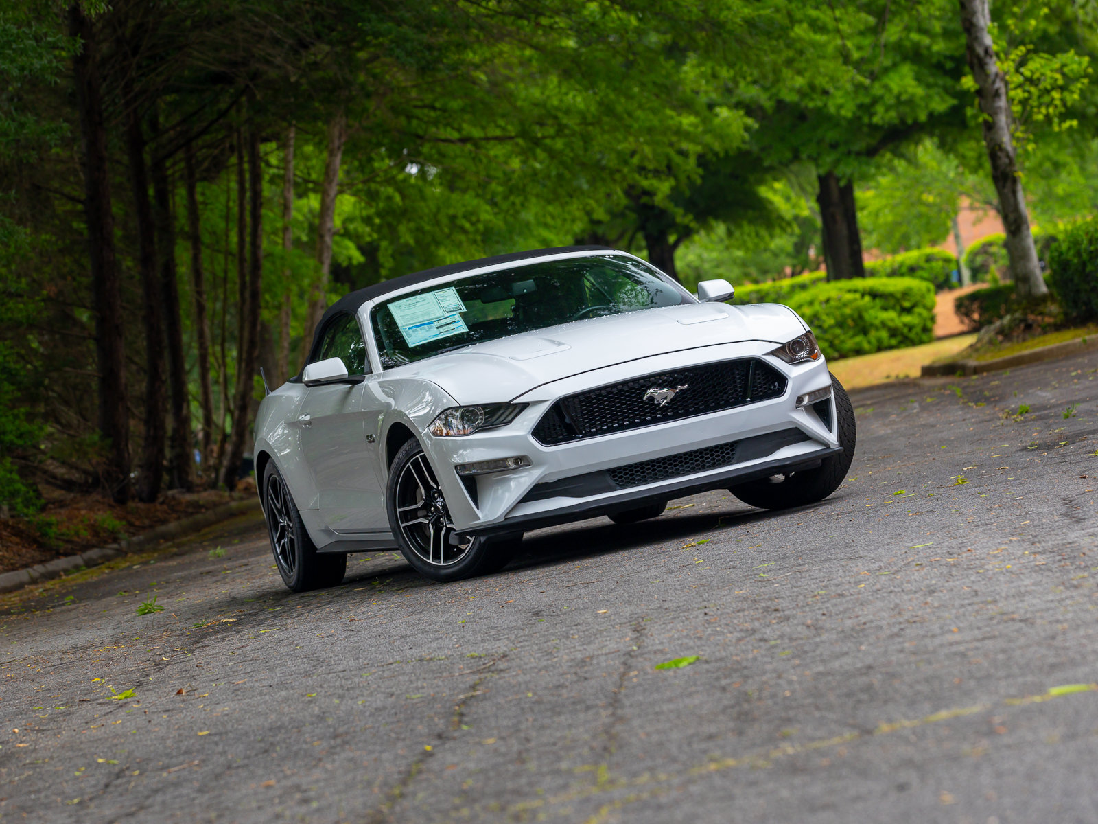 Used 2019 Ford Mustang GT Premium w/ Equipment Group 401A RWD image 21