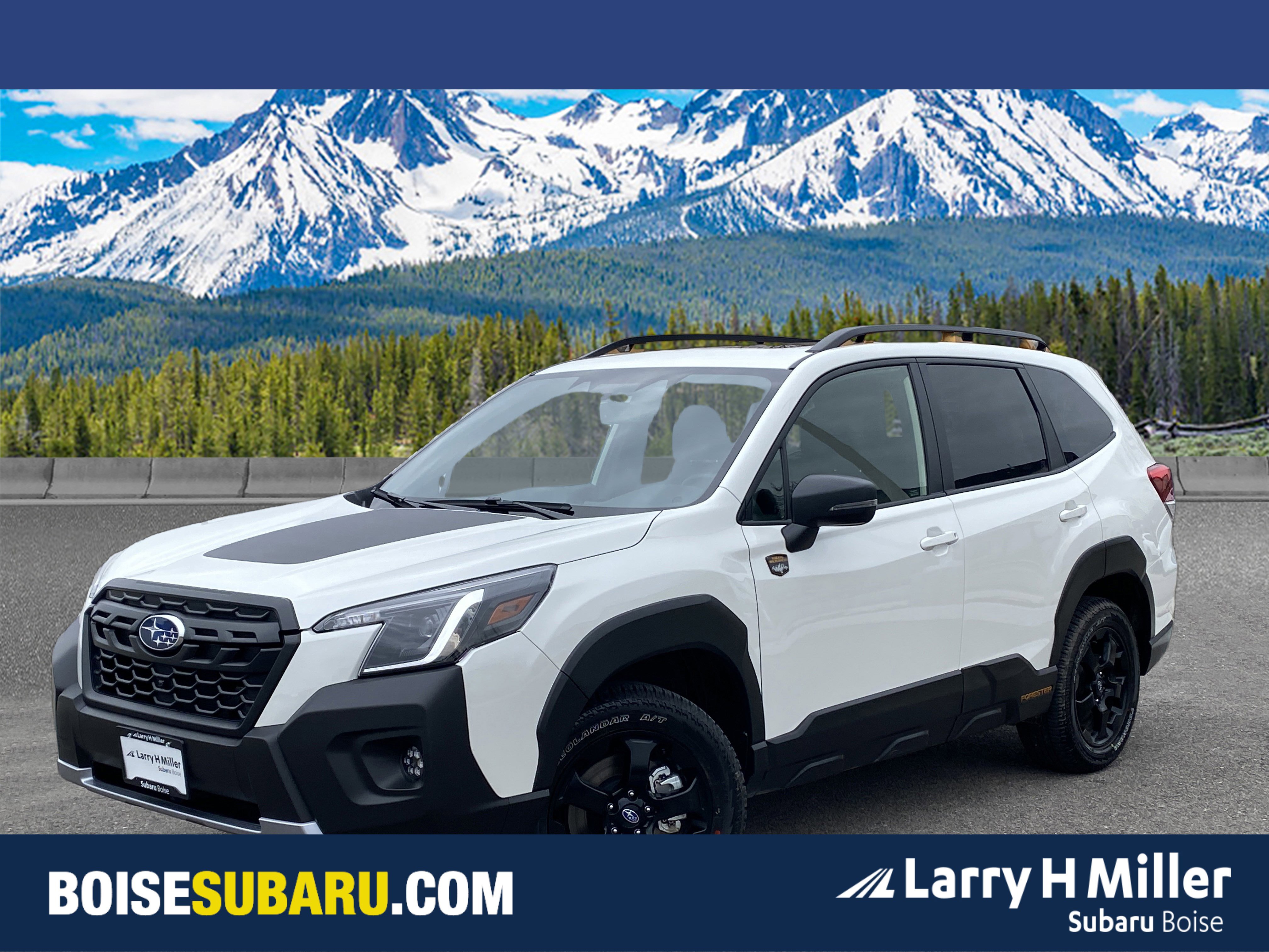 Used 2025 Subaru Forester Wilderness