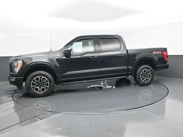 Used 2022 Ford F150 XLT w/ Equipment Group 302A High AWD/4WD image 5