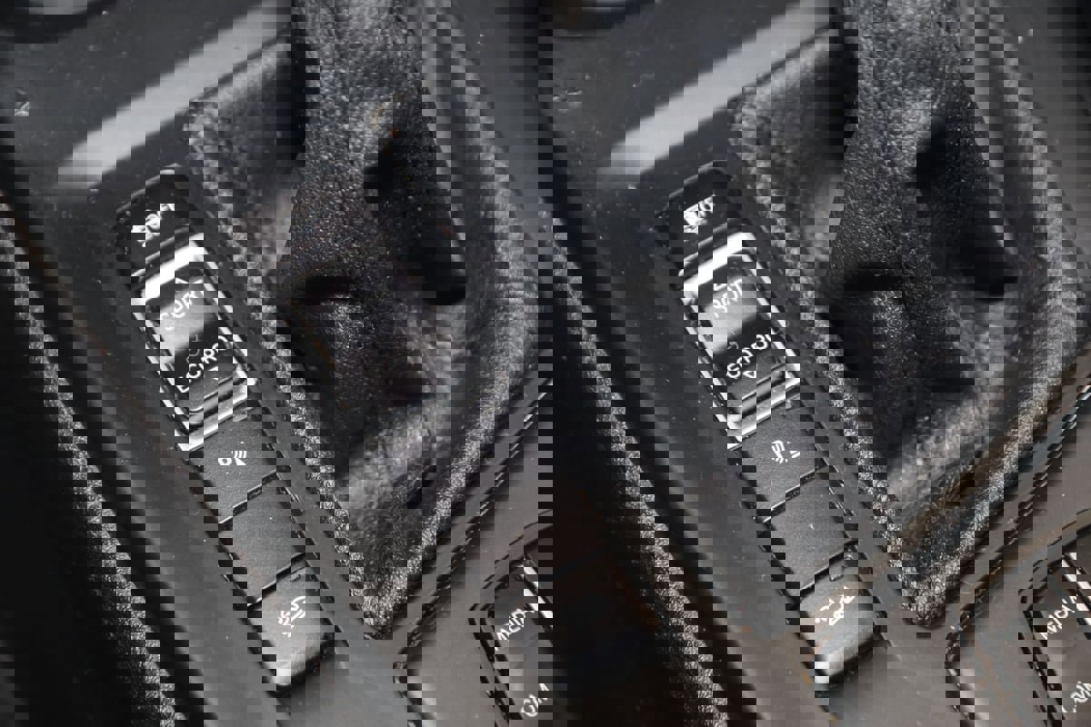 Used 2019 BMW X1 xDrive28i w/ Convenience Package image 25