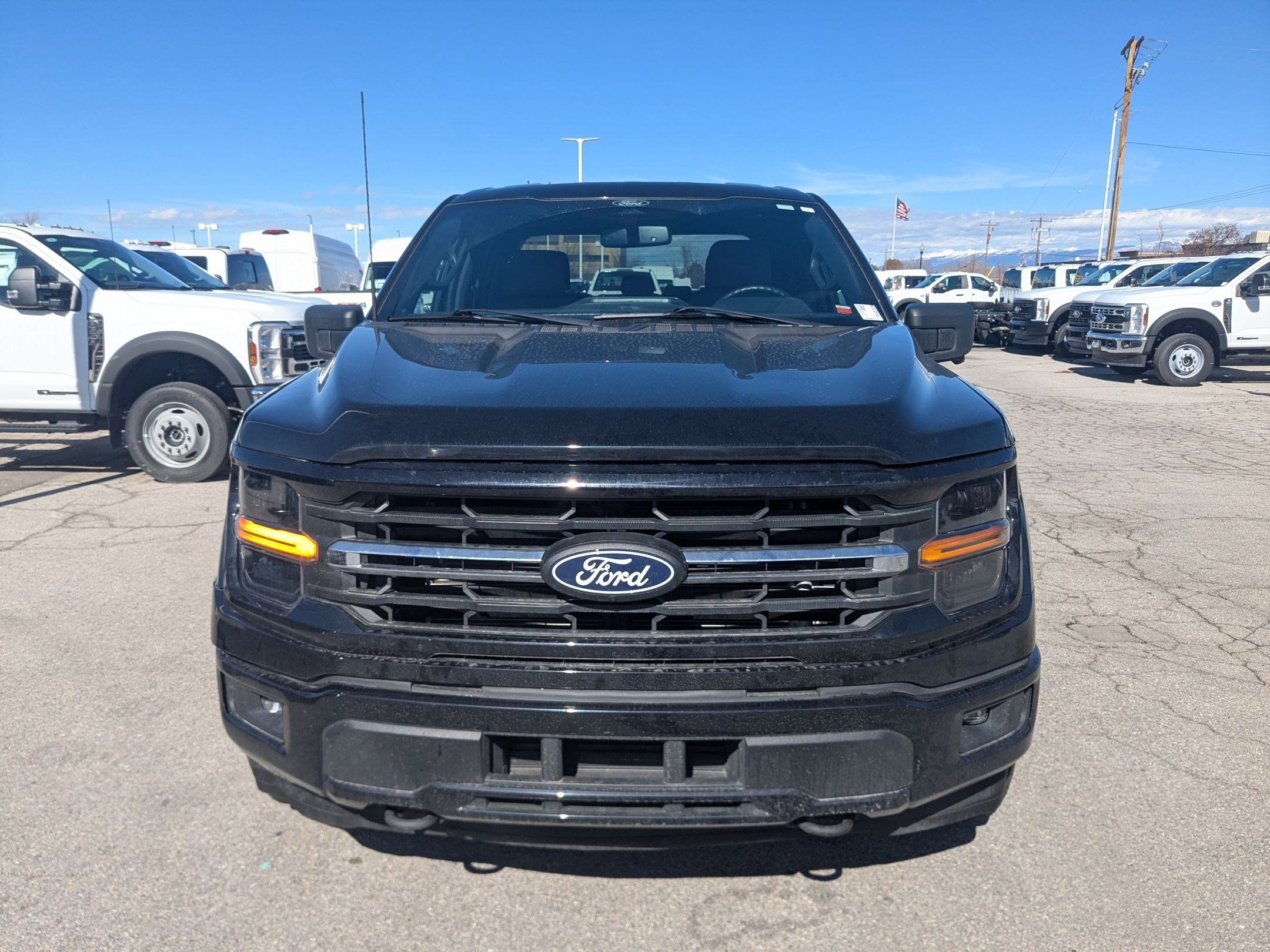Used 2024 Ford F150 XLT w/ Mobile Office Package image 12