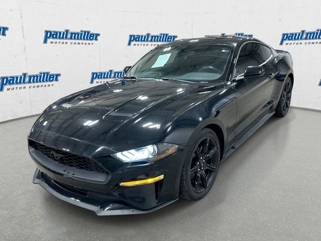 Used 2019 Ford Mustang EcoBoost w/ Black Accent Package image 1