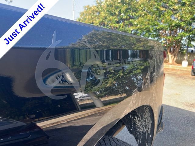 Used 2024 Chevrolet Silverado 1500 Custom Trail Boss w/ Realtree Special Edition AWD/4WD image 13