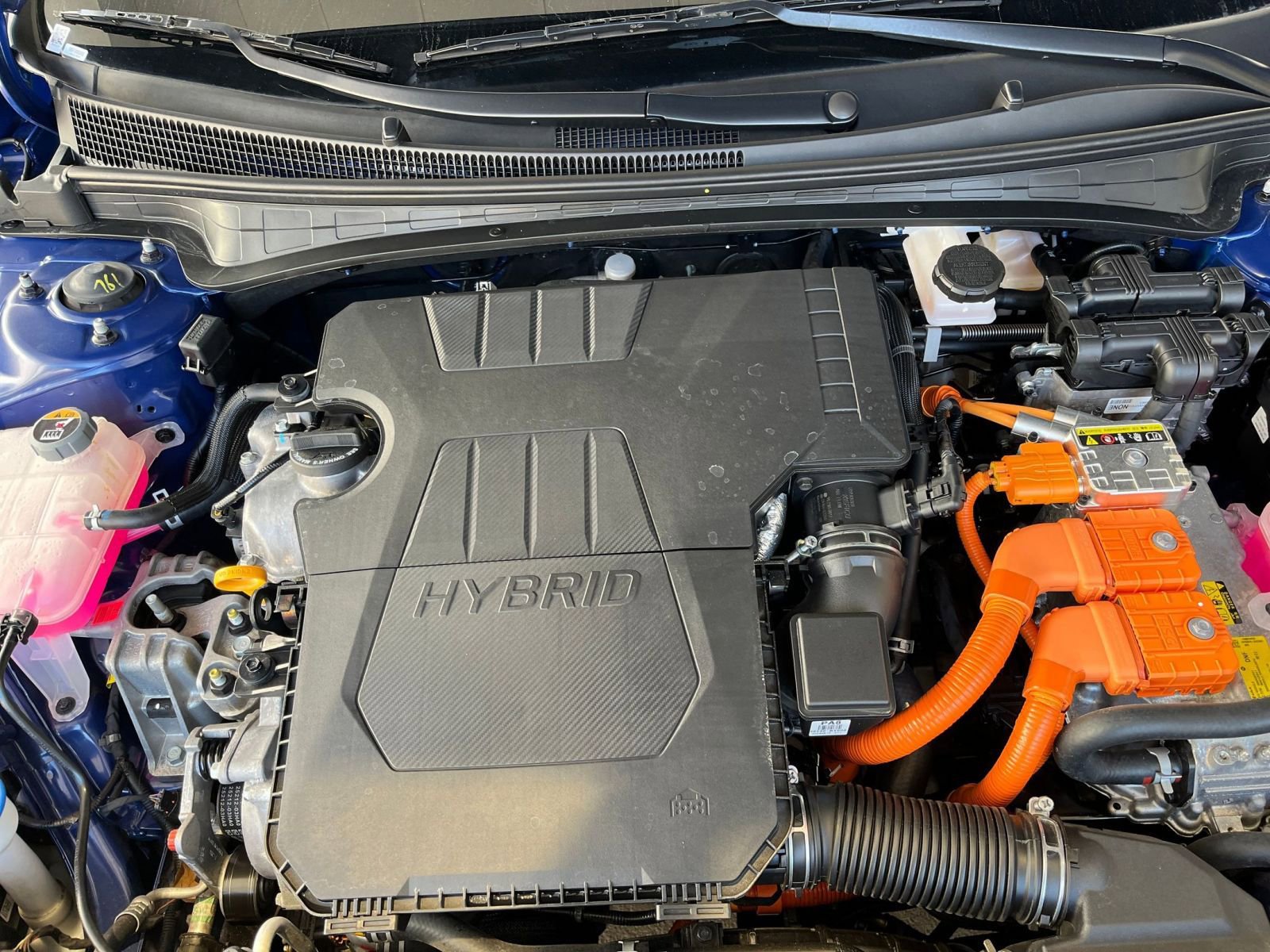 Used 2025 Hyundai Elantra Limited image 32