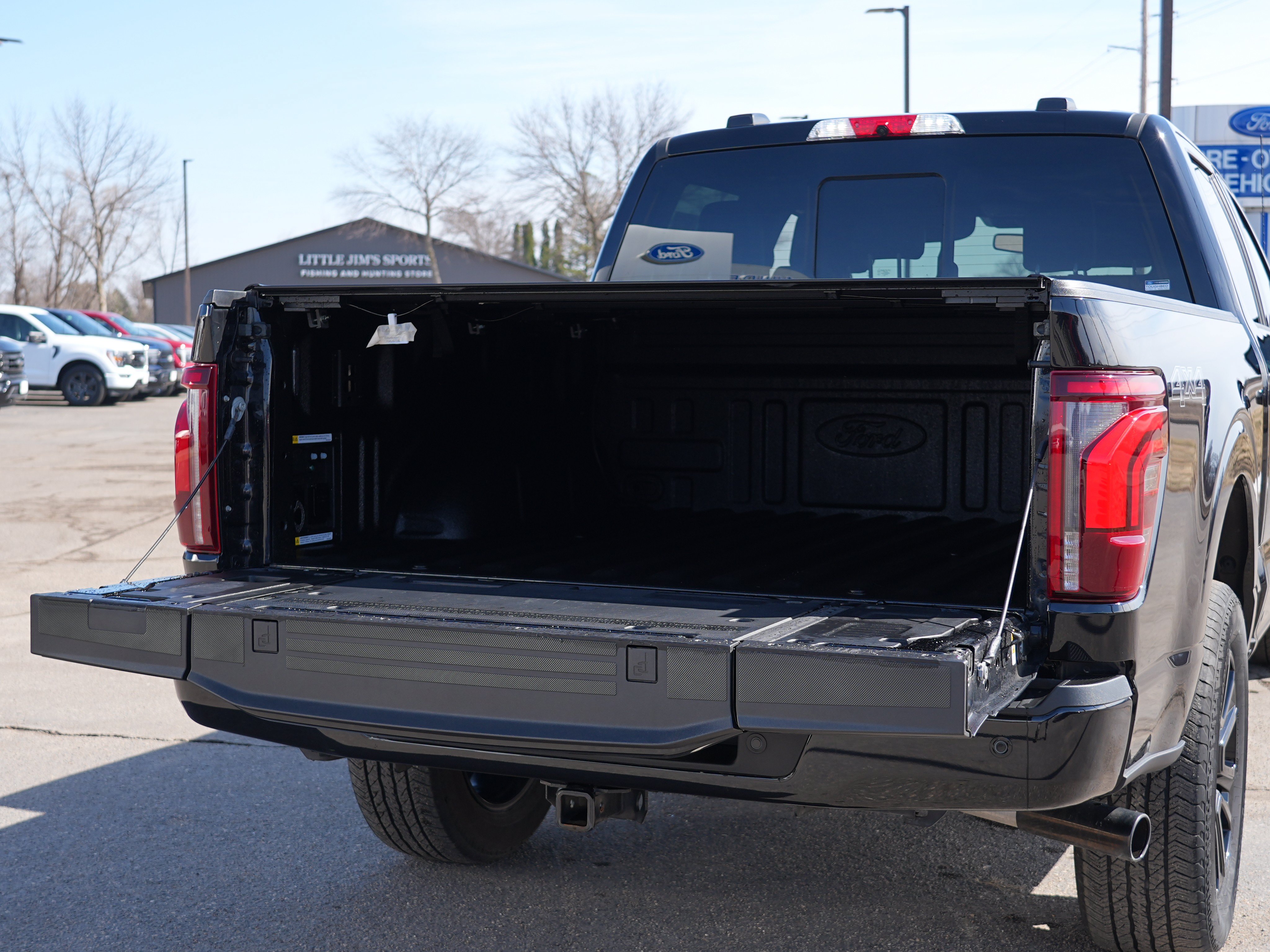 Used 2025 Ford F150 Platinum AWD/4WD image 14