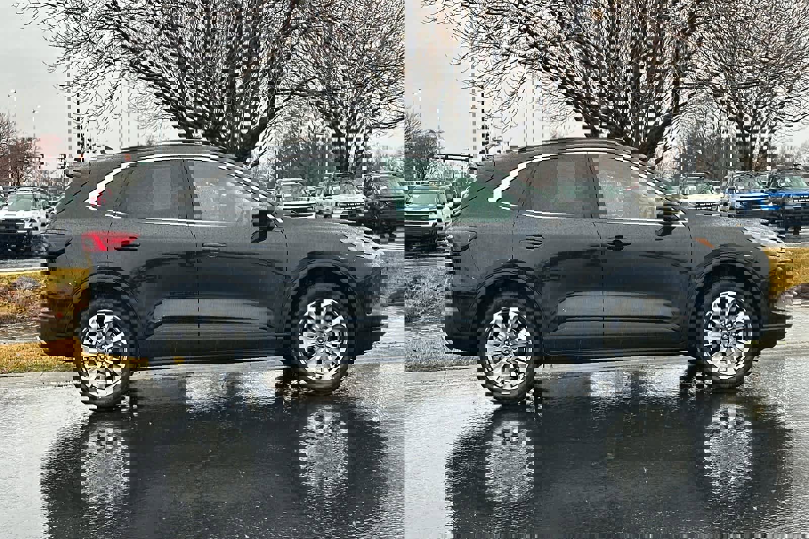 Certified 2025 Ford Escape Platinum image 8