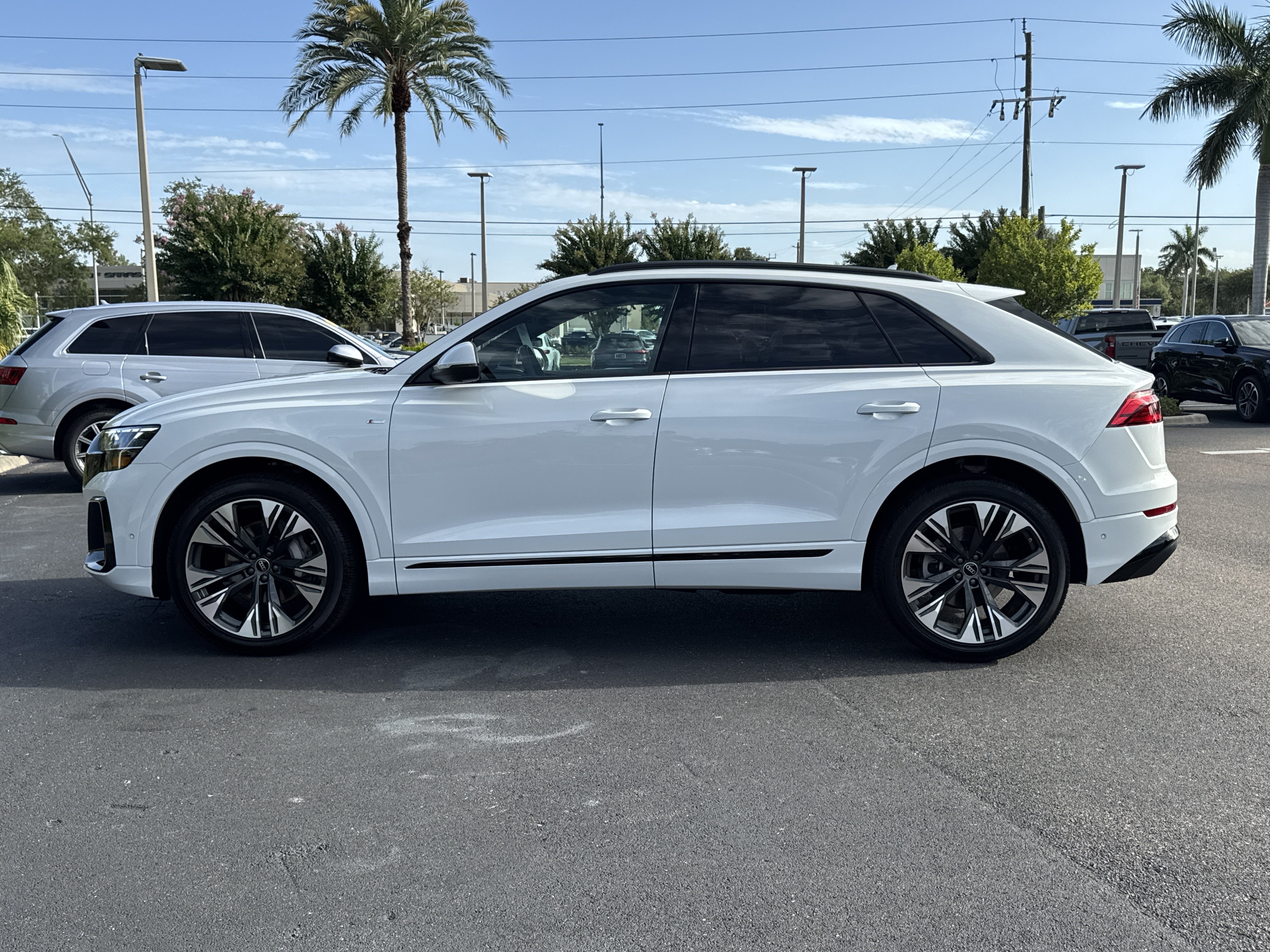 Certified 2026 Audi Q8 Premium Plus w/ Premium Plus Package AWD/4WD image 7
