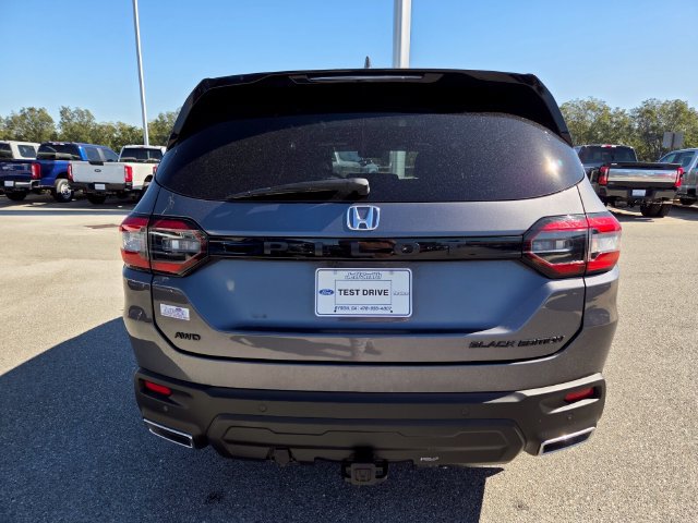 Used 2025 Honda Pilot Black Edition image 10