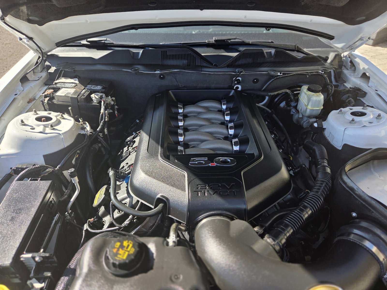 Used 2014 Ford Mustang GT image 11