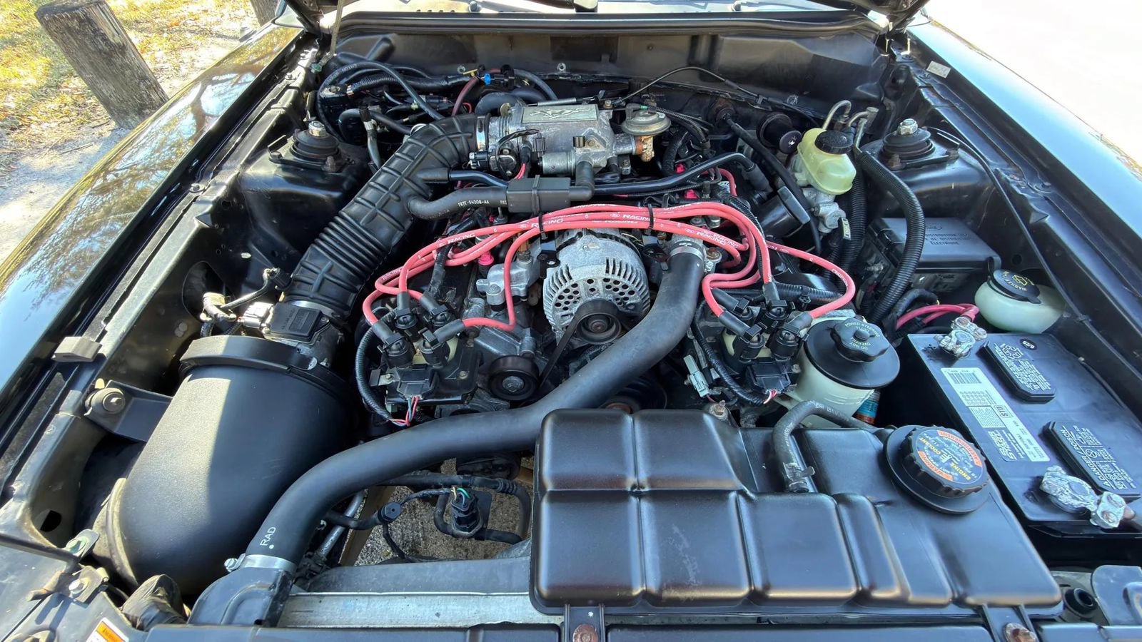 Used 1998 Ford Mustang GT RWD image 47