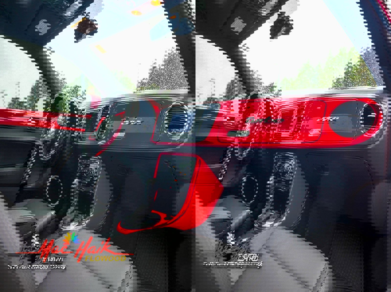 Used 2019 Volkswagen Beetle 2.0T SE image 7